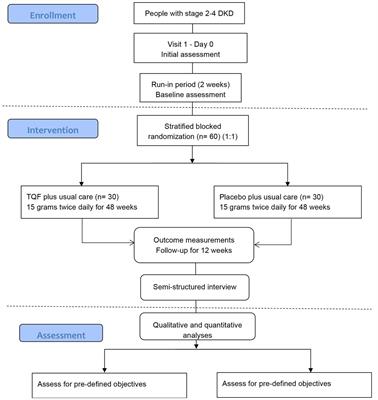 Oral Chinese Herbal Medicine plus usual care for diabetic kidney disease: study protocol for a randomized, double-blind, placebo-controlled pilot trial
